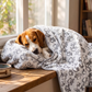 Small To Medium Premium Pet Blanket - Grey