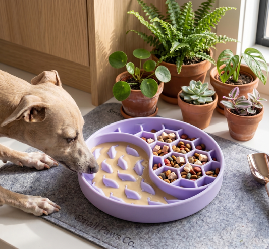 Honeycomb Silicone Slow Feeder
