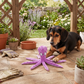 Octo-Pal Purple Plush Dog Toy