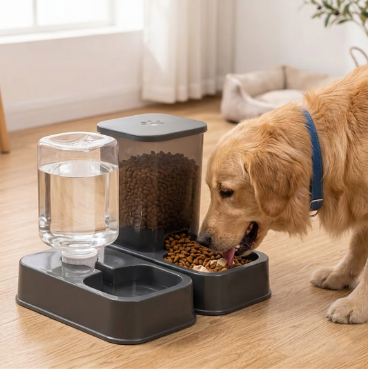 The Happy Hydrate 2-in-1 Pet Feeder